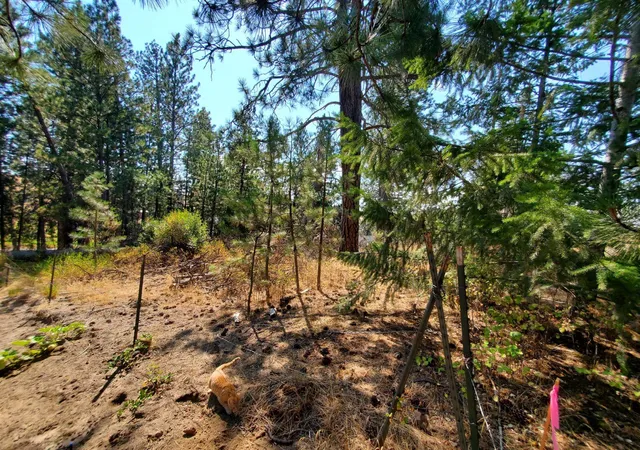 Photo 3 of Sale Pending at Nka Old School Rd, Rockford, WA 99030 | MLS# 202623397 | Listing updated on 2026-10-05
