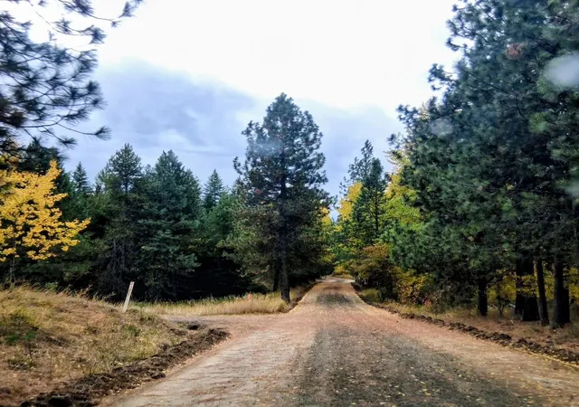 Land for sale at 706 Mccammon Rd, Elk, WA 99009 | MLS# 202623501