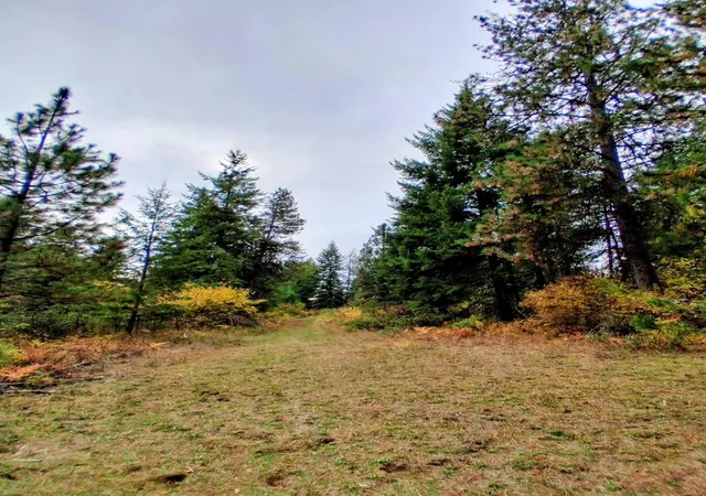 Photo 2 of Land for sale at 706 Mccammon Rd, Elk, WA 99009 | MLS# 202623501 | Listing updated on 2026-09-08
