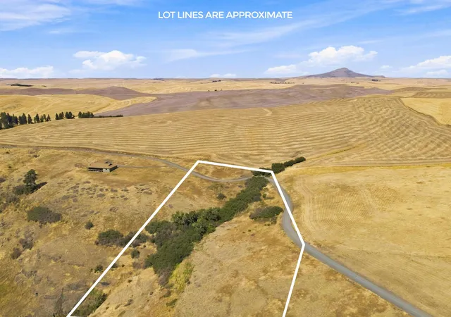 Photo 3 of Land for sale at 8 Acre Lot Red Tail Ridge Rd, Colfax, WA 99111 | MLS# 202623524 | Listing updated on 2026-09-08