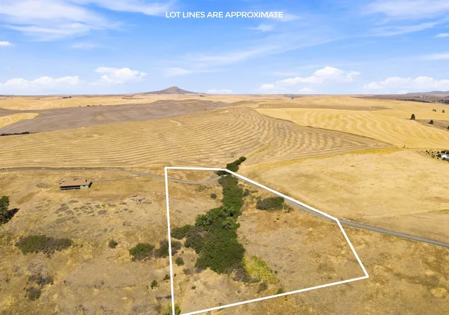 Photo 3 of Land for sale at 8 Acre Lot Red Tail Ridge Rd, Colfax, WA 99111 | MLS# 202623524 | Listing updated on 2026-09-08