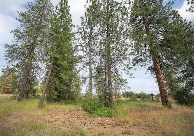 Photo 4 of Land for sale at 3819 W Cliffside Ln, Spokane, WA 99224 | MLS# 202623584 | Listing updated on 2026-09-08