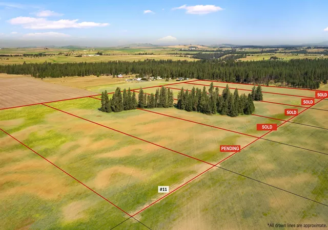 Land for sale at Tbd N Lot 11 Christensen Rd, Medical Lake, WA 99022 | MLS# 202623585
