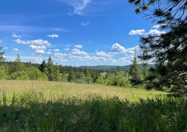 Land for sale at 4401 Whittier Rd, Clayton, WA 99110 | MLS# 202623587