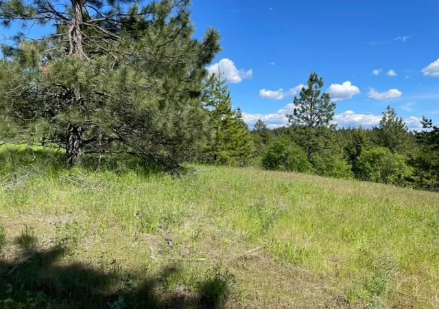 Photo 2 of Land for sale at 4401 Whittier Rd, Clayton, WA 99110 | MLS# 202623587 | Listing updated on 2026-09-08