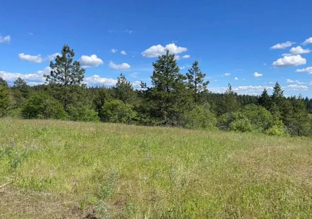 Photo 3 of Land for sale at 4401 Whittier Rd, Clayton, WA 99110 | MLS# 202623587 | Listing updated on 2026-09-08