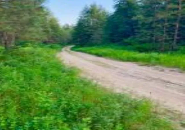 Photo 3 of Land for sale at Lot 2 Kifer Spur Rd, Kettle Falls, WA 99141 | MLS# 202623804 | Listing updated on 2026-10-09