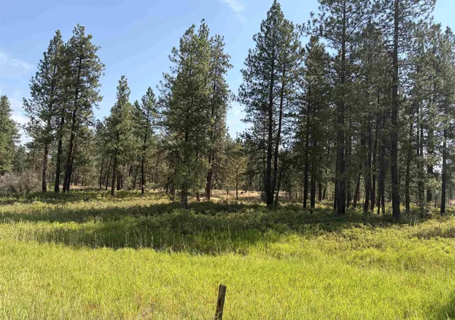 Land for sale at Xxxxx S Malloy Prairie Rd, Cheney, WA 99004 | MLS# 202623816