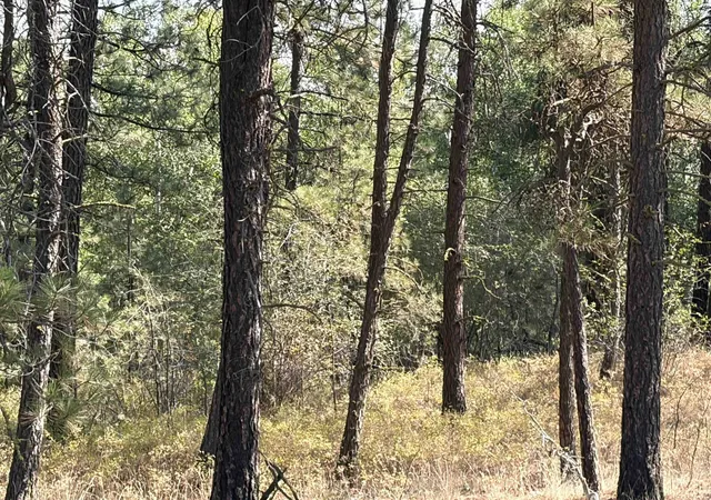 Photo 3 of Land for sale at Xxxxx S Malloy Prairie Rd, Cheney, WA 99004 | MLS# 202623816 | Listing updated on 2026-09-11