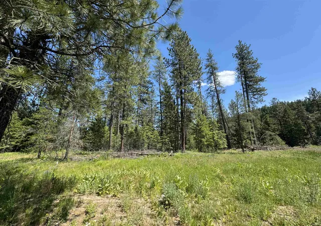 Photo 3 of Land for sale at 510 N A St, Springdale, WA 99173 | MLS# 202623861 | Listing updated on 2026-09-13