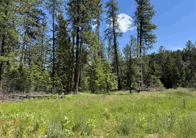 Photo 4 of Land for sale at 510 N A St, Springdale, WA 99173 | MLS# 202623861 | Listing updated on 2026-09-13