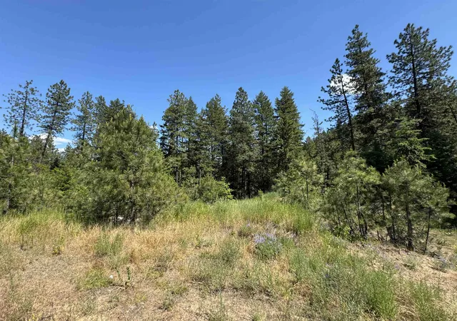 Photo 3 of Land for sale at 402 N Beck Ln, Springdale, WA 99173 | MLS# 202623862 | Listing updated on 2026-09-13