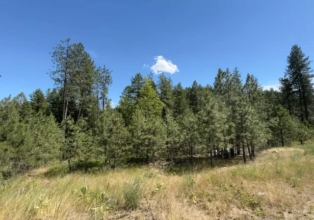 Photo 4 of Land for sale at 402 N Beck Ln, Springdale, WA 99173 | MLS# 202623862 | Listing updated on 2026-09-13