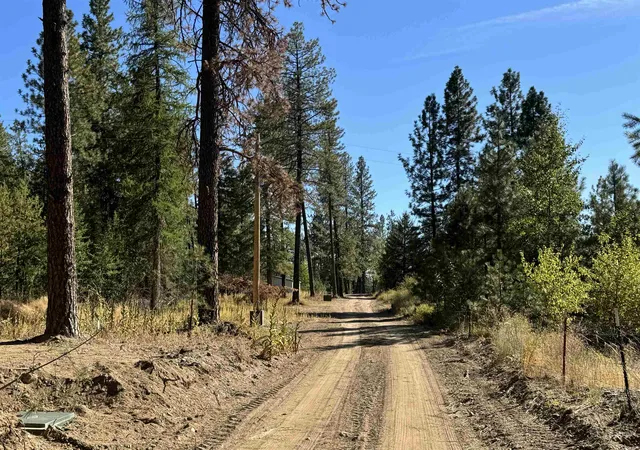 Photo 3 of Land for sale at 340 N Beck Ln, Springdale, WA 99173 | MLS# 202623863 | Listing updated on 2026-09-13