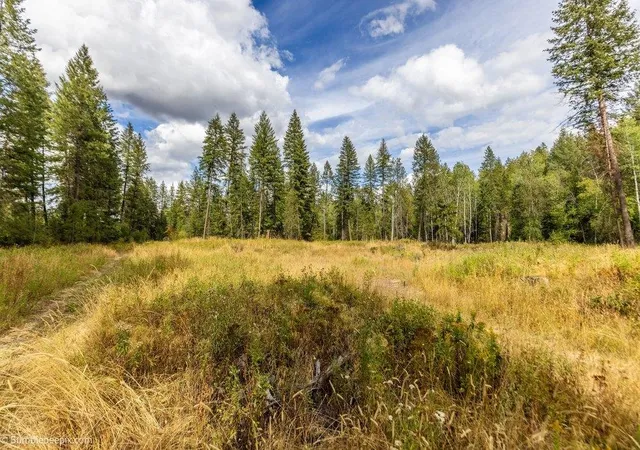 Photo 2 of Land for sale at 0 N Vista Cir, Colbert, WA 99005 | MLS# 202623917 | Listing updated on 2026-09-15