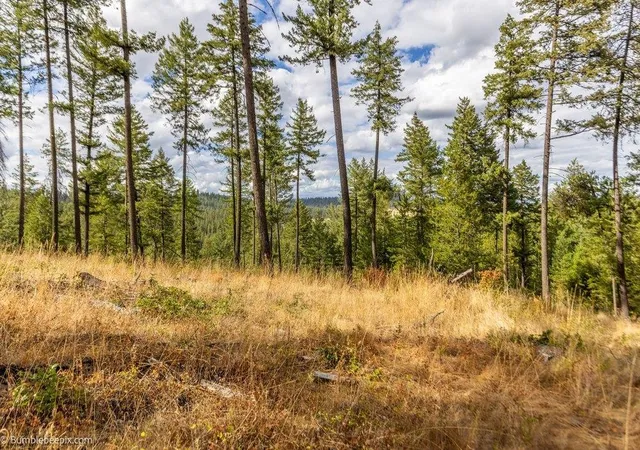 Photo 3 of Land for sale at 0 N Vista Cir, Colbert, WA 99005 | MLS# 202623917 | Listing updated on 2026-09-15