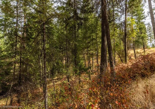 Photo 3 of Land for sale at 0 N Vista Cir, Colbert, WA 99005 | MLS# 202623917 | Listing updated on 2026-09-15