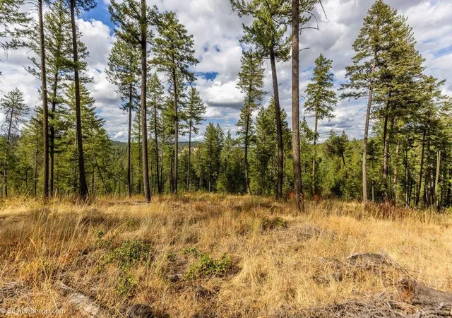 Photo 4 of Land for sale at 0 N Vista Cir, Colbert, WA 99005 | MLS# 202623917 | Listing updated on 2026-09-15