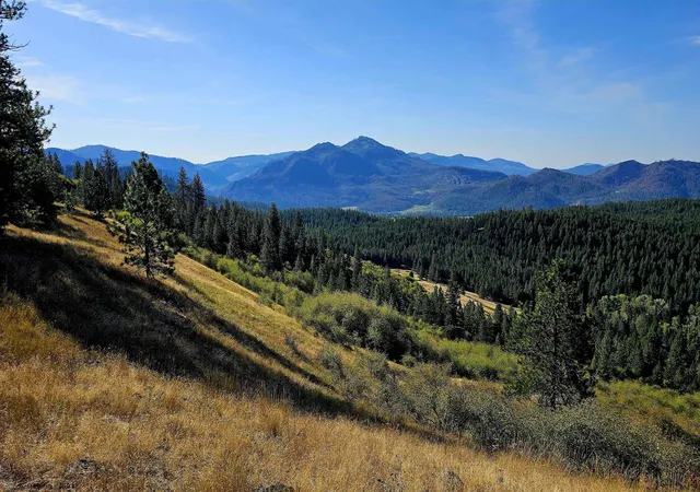Photo 1 of Land for sale at 35xx Addy Cedonia Rd, Hunters, WA 99137 | MLS# 202623967 | Listing updated on 2026-09-16
