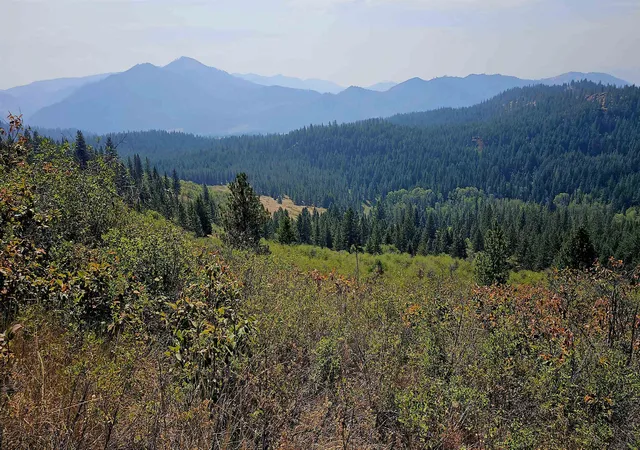 Photo 2 of Land for sale at 35xx Addy Cedonia Rd, Hunters, WA 99137 | MLS# 202623967 | Listing updated on 2026-09-16