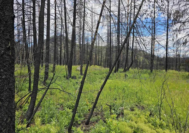 Photo 1 of Land for sale at 34xx Lael Flt Crk Rd, Kettle Falls, WA 99141 | MLS# 202623969 | Listing updated on 2026-09-16