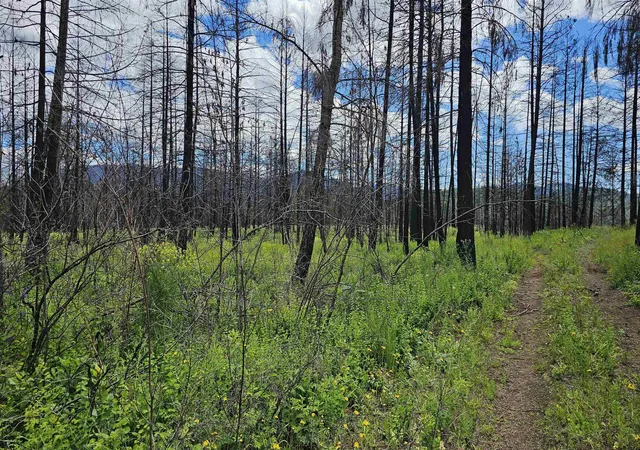 Photo 3 of Land for sale at 34xx Lael Flt Crk Rd, Kettle Falls, WA 99141 | MLS# 202623969 | Listing updated on 2026-09-16