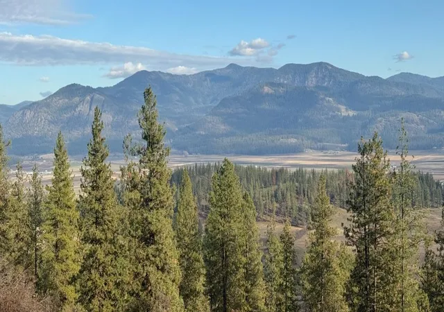 Photo 1 of Land for sale at Xxx Farm To Market Loop Rd, Chewelah, WA 99109 | MLS# 202624016 | Listing updated on 2026-09-17