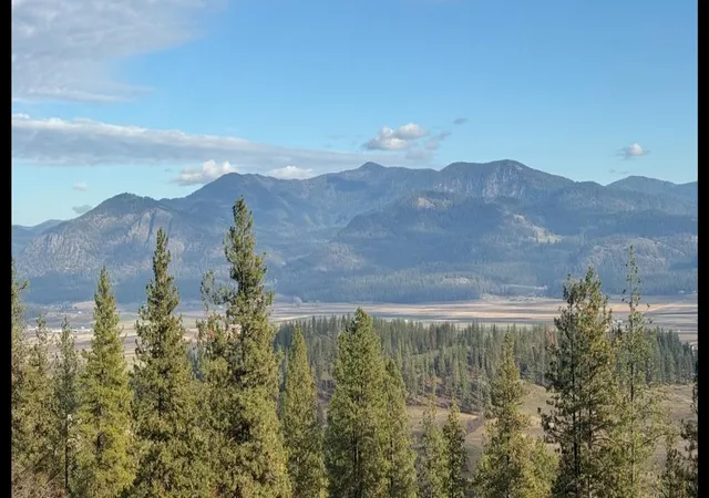 Photo 4 of Land for sale at Xxx Farm To Market Loop Rd, Chewelah, WA 99109 | MLS# 202624016 | Listing updated on 2026-09-17