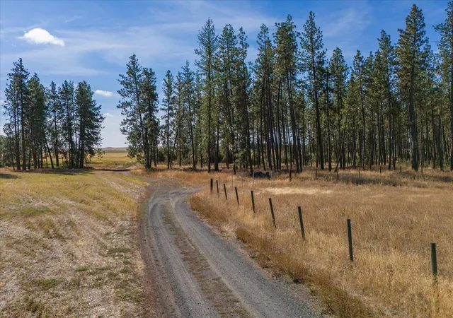 Photo 3 of Land for sale at 102e E Cameron Rd, Spangle, WA 99031 | MLS# 202624080 | Listing updated on 2026-09-17