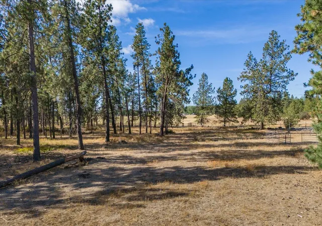 Photo 4 of Land for sale at 102e E Cameron Rd, Spangle, WA 99031 | MLS# 202624080 | Listing updated on 2026-09-17