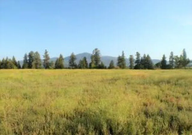 Photo 3 of Land for sale at 781 H Hwy 395, Kettle Falls, WA 99141 | MLS# 202624088 | Listing updated on 2026-09-17