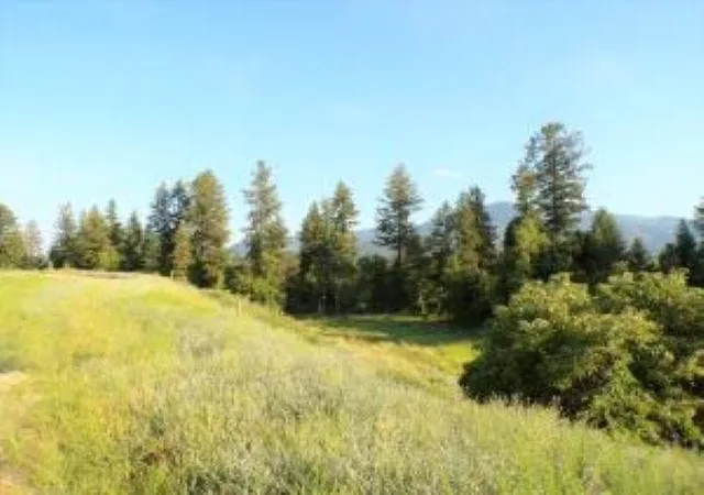 Photo 3 of Land for sale at 781 H Hwy 395, Kettle Falls, WA 99141 | MLS# 202624088 | Listing updated on 2026-09-17