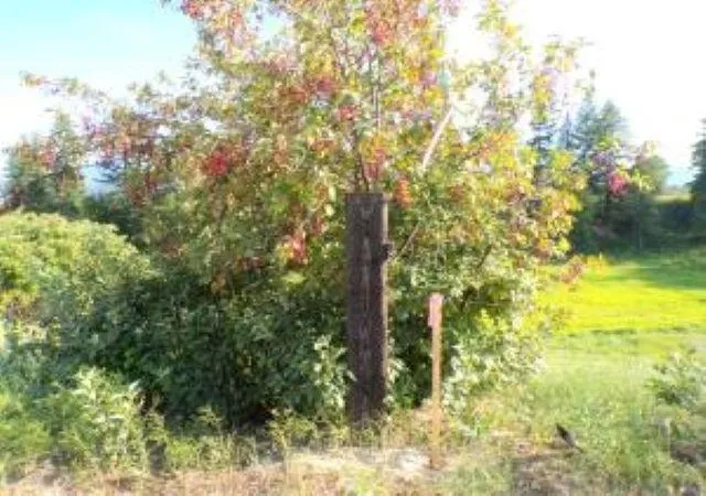 Photo 4 of Land for sale at 781 H Hwy 395, Kettle Falls, WA 99141 | MLS# 202624088 | Listing updated on 2026-09-17