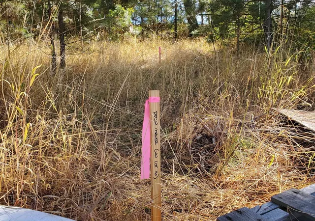 Photo 3 of Land for sale at Vacant Land, Rockford, WA 99030 | MLS# 202624196 | Listing updated on 2026-09-19