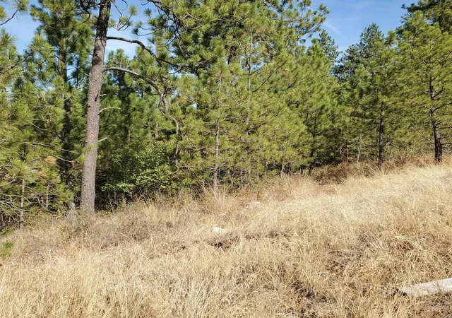 Photo 4 of Land for sale at Vacant Land, Rockford, WA 99030 | MLS# 202624196 | Listing updated on 2026-09-19