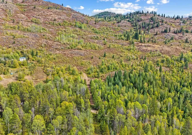 Photo 3 of Land for sale at 220 Catamount Ridge Ln, Ione, WA 99139 | MLS# 202624222 | Listing updated on 2026-09-21