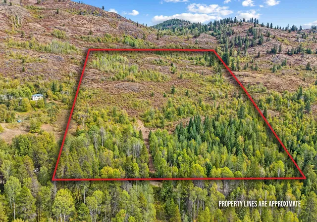 Photo 4 of Land for sale at 220 Catamount Ridge Ln, Ione, WA 99139 | MLS# 202624222 | Listing updated on 2026-09-21