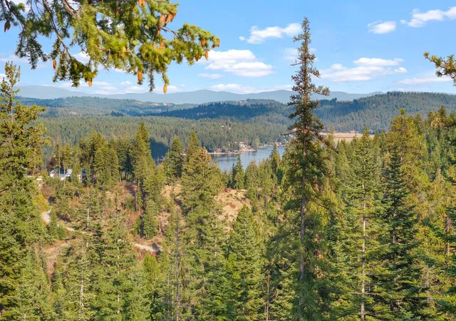Photo 1 of Land for sale at Nka E Temple Rd, Newman Lake, WA 99217 | MLS# 202624298 | Listing updated on 2026-09-22