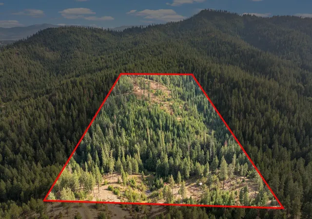 Photo 3 of Land for sale at Nka E Temple Rd, Newman Lake, WA 99217 | MLS# 202624298 | Listing updated on 2026-09-22