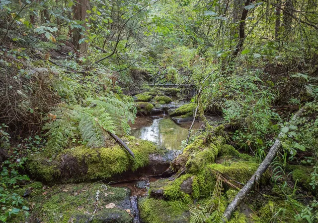 Photo 3 of Land for sale at Nka E Temple Rd, Newman Lake, WA 99217 | MLS# 202624298 | Listing updated on 2026-10-23
