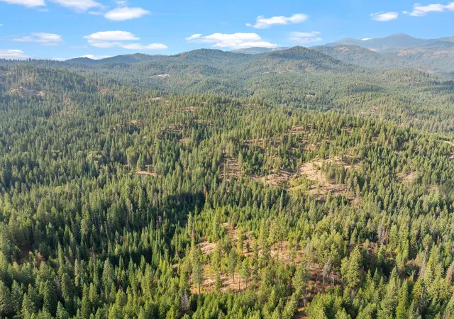Photo 3 of Land for sale at Nka E Temple Rd, Newman Lake, WA 99217 | MLS# 202624298 | Listing updated on 2026-09-22
