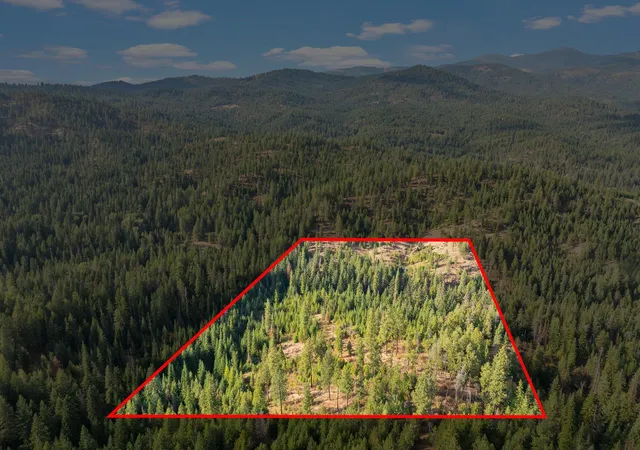 Photo 4 of Land for sale at Nka E Temple Rd, Newman Lake, WA 99217 | MLS# 202624298 | Listing updated on 2026-09-22