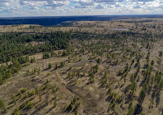 Photo 2 of Land for sale at 31008 Meadow Ln, Davenport, WA 99122 | MLS# 202624366 | Listing updated on 2026-09-23