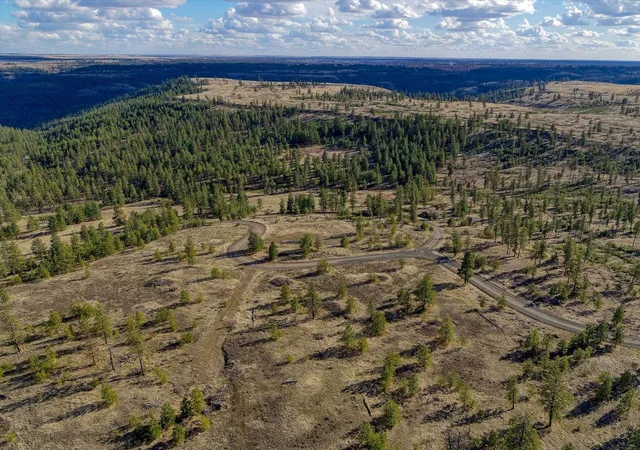 Photo 3 of Land for sale at 31008 Meadow Ln, Davenport, WA 99122 | MLS# 202624366 | Listing updated on 2026-09-23