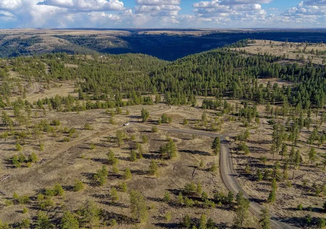Photo 3 of Land for sale at 31008 Meadow Ln, Davenport, WA 99122 | MLS# 202624366 | Listing updated on 2026-09-23