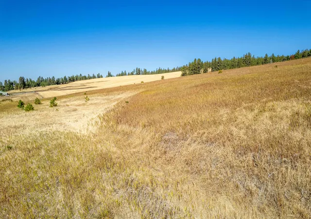 Photo 3 of Land for sale at Nka Thunder Mountain Ln, Valleyford, WA 99036 | MLS# 202624445 | Listing updated on 2026-09-24
