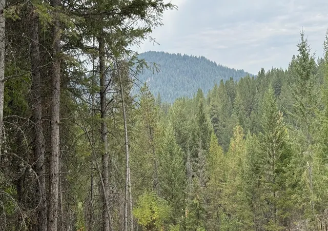 Photo 1 of Land for sale at 10313 Spring Valley Rd, Newport, WA 99156 | MLS# 202624449 | Listing updated on 2026-09-25