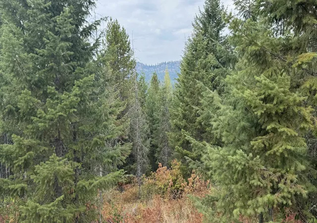 Photo 2 of Land for sale at 10313 Spring Valley Rd, Newport, WA 99156 | MLS# 202624449 | Listing updated on 2026-10-08
