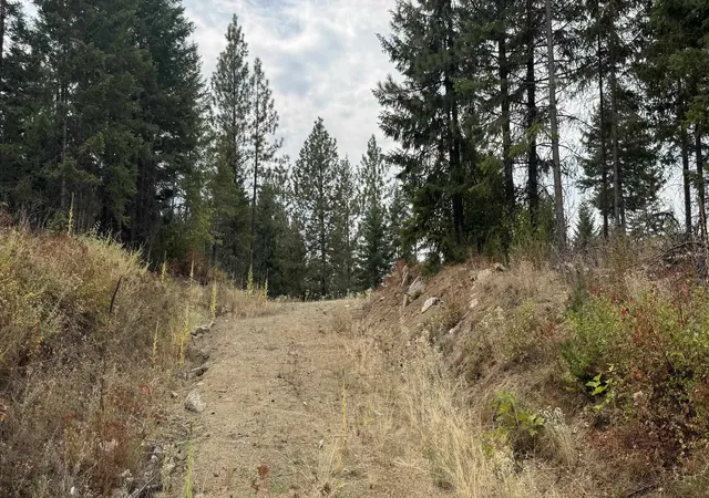 Photo 3 of Land for sale at 10313 Spring Valley Rd, Newport, WA 99156 | MLS# 202624449 | Listing updated on 2026-09-25