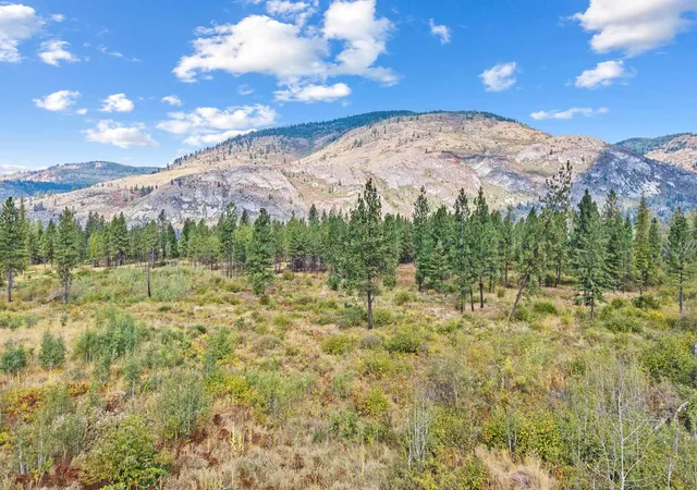 Photo 4 of Land for sale at Tbd Highway 25 N, Kettle Falls, WA 99141 | MLS# 202624476 | Listing updated on 2026-09-21